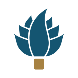 Articiocco-Logo